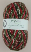 WYS - Signature 4 Ply - Christmas Special - 886 Holly Berry